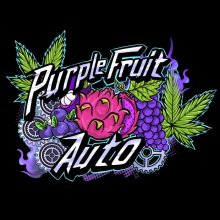 Sumo Seeds Purple Fruit Auto