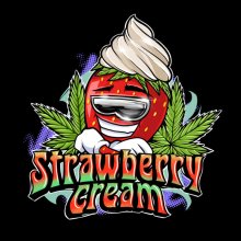 Sumo Seeds Strawberry Cream