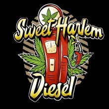 Sumo Seeds Sweet Harlem Diesel