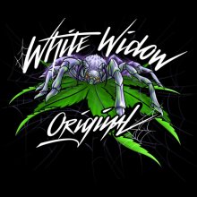 Sumo Seeds White Widow Original