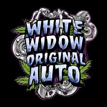 Sumo Seeds White Widow Original Auto
