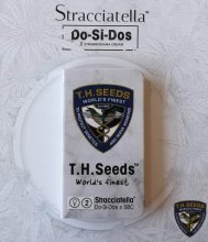 T.H. Seeds Stracciatella Do-Si-Dos X Sbc