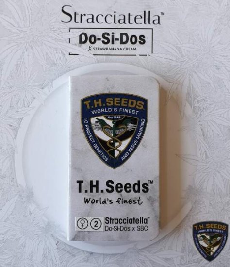 T.H. Seeds Stracciatella Do-Si-Dos X Sbc Click image to close