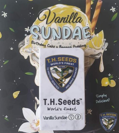 T.H. Seeds Vanilla Sundae Bild zum Schließen anclicken