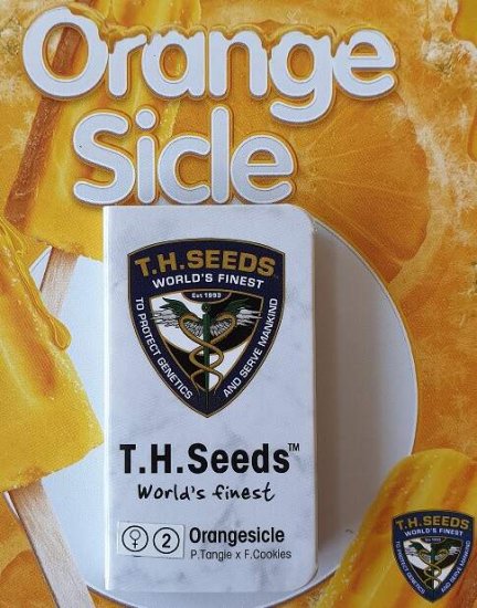T.H. Seeds Orangesicle Bild zum Schließen anclicken