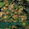 Vision Seeds Vision Critical Auto