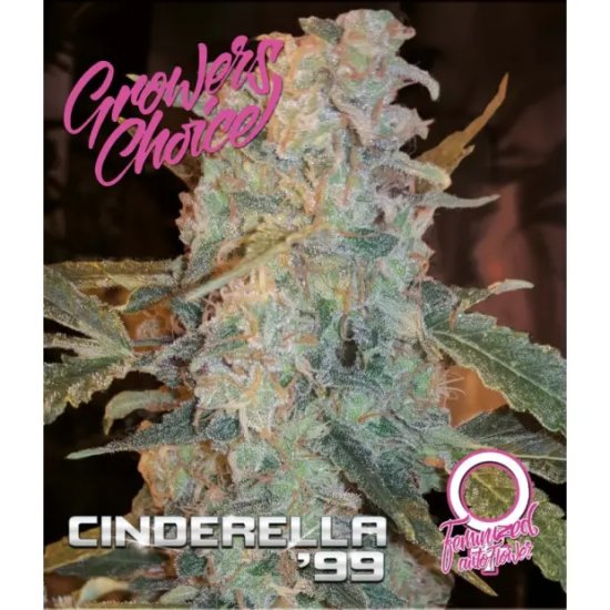 Cendrillon de choix des producteurs 99 - féminisé