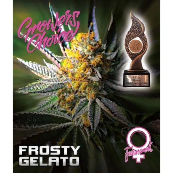 Growers Choice Gelato Frosty - féminisé