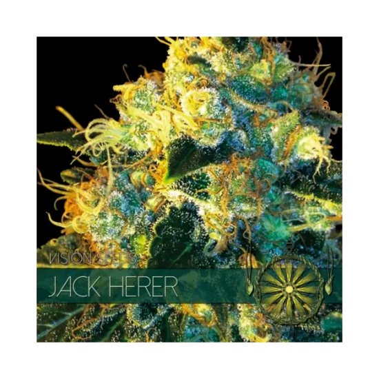 Vision Seeds Jack Herer - feminizada
