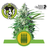 Royal AK Automatic Feminised - RQS