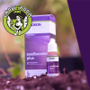 PLAGRON Seedbooster 10ml