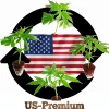 (Bild für) Sortenmischung Hanfstecklinge US-Cali