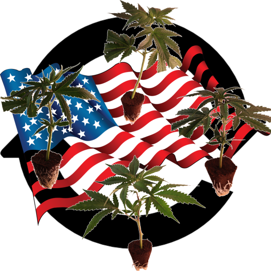 (image for) US-Kali Cannabis Clone Strain Mix