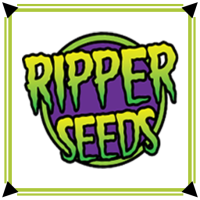 Ripper Seeds