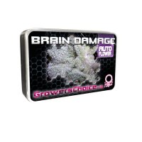 Brain Damage Autoflower - Growers Choice
