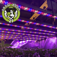 HYPERION LED - SW Hyperion 420
