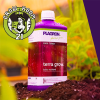 PLAGRON Terra Grow - Wuchs