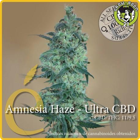 Elite Seeds - Amnesia Haze Ultra CBD - feminised Click image to close