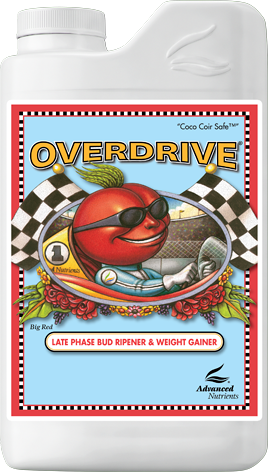ADVANCED N. - Overdrive Click image to close