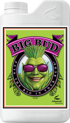 ADVANCED N. - Big Bud Click image to close