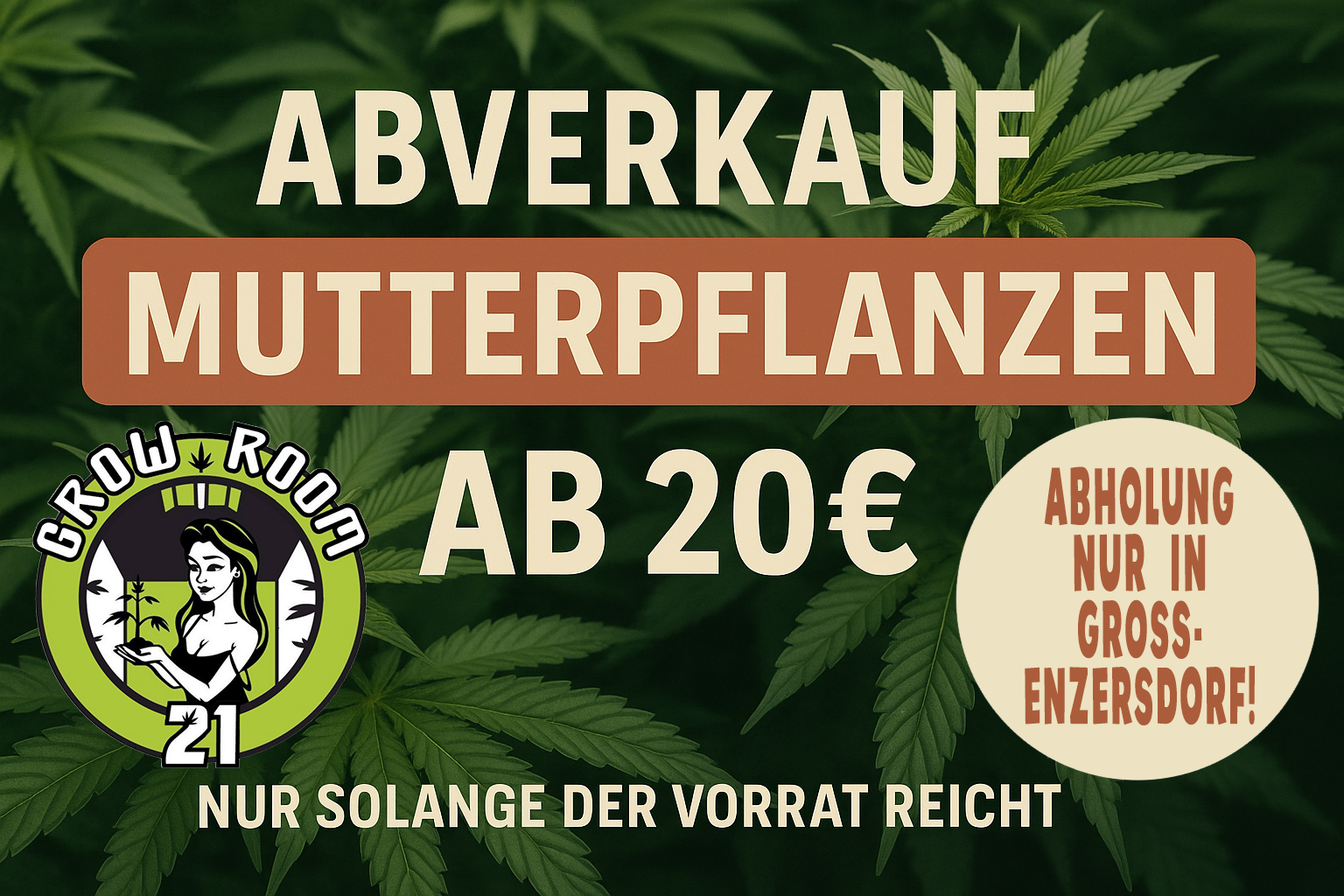 abverkauf_mutterpflanzen