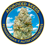 Advanced Seeds