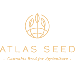 Atlas Seed