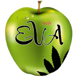 Eva Seeds