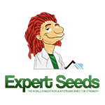 Expert Seeds