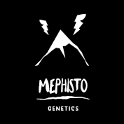 Mephisto Genetics