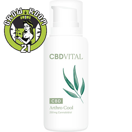 CBD VITAL - Arthro COOL 100ml Bild zum Schließen anclicken