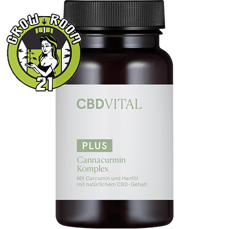 CBD VITAL - Cannacurmin Complex 60 Capsules Click image to close