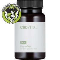 CBD VITAL - Darmpflege 60 Kapseln Bild zum Schließen anclicken