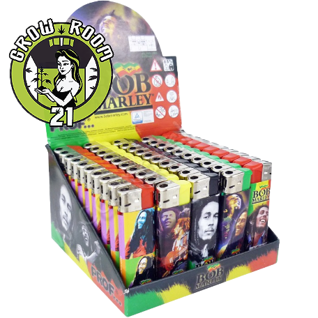 Ein allgemeines Bild