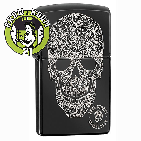 Ein allgemeines Bild