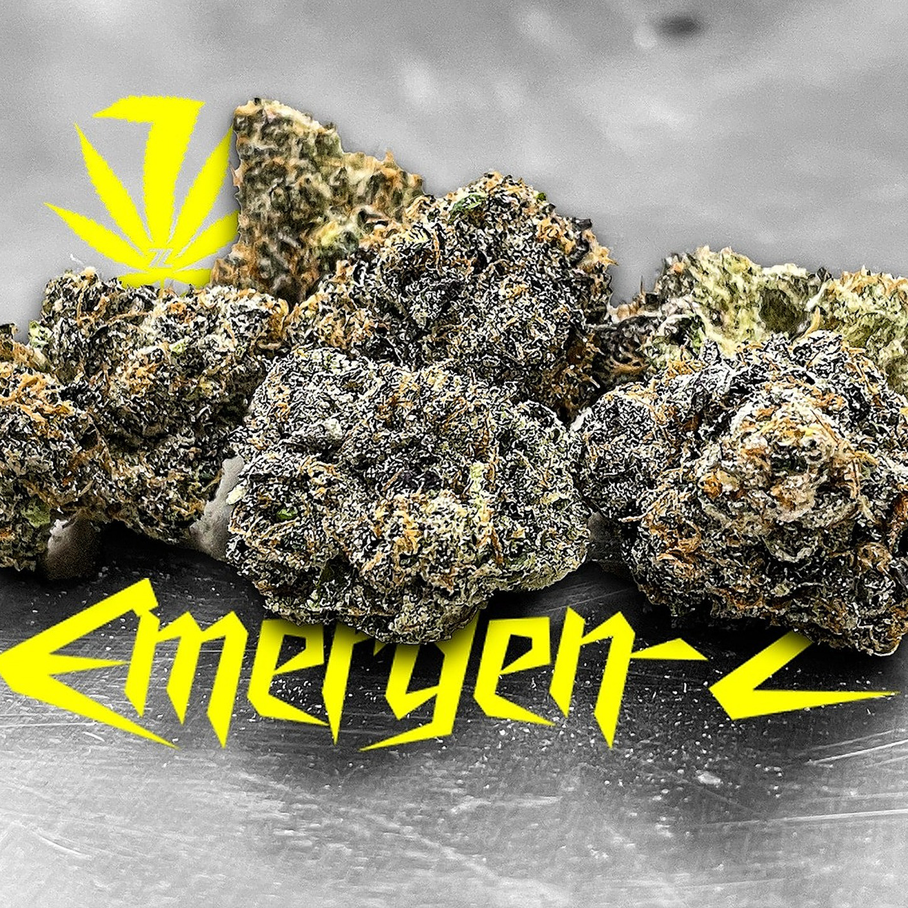 Emergen-C US Cali Steckling – Seed Junky Berner Cut