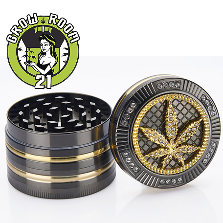 Ein allgemeines Bild