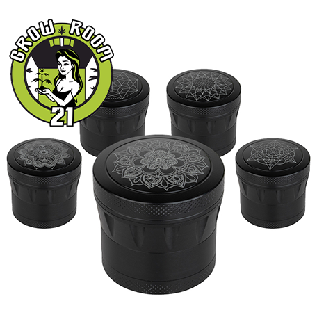 Ein allgemeines Bild