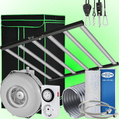 Ein allgemeines Bild