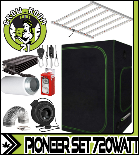 Ein allgemeines Bild