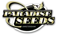 Paradise Seeds