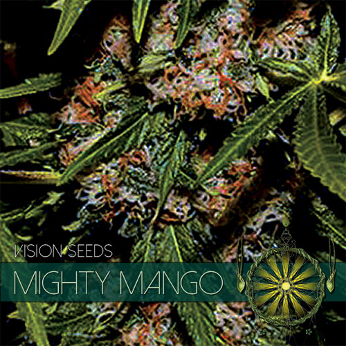 Vision Seeds Mighty Mango Bud Bild zum Schließen anclicken
