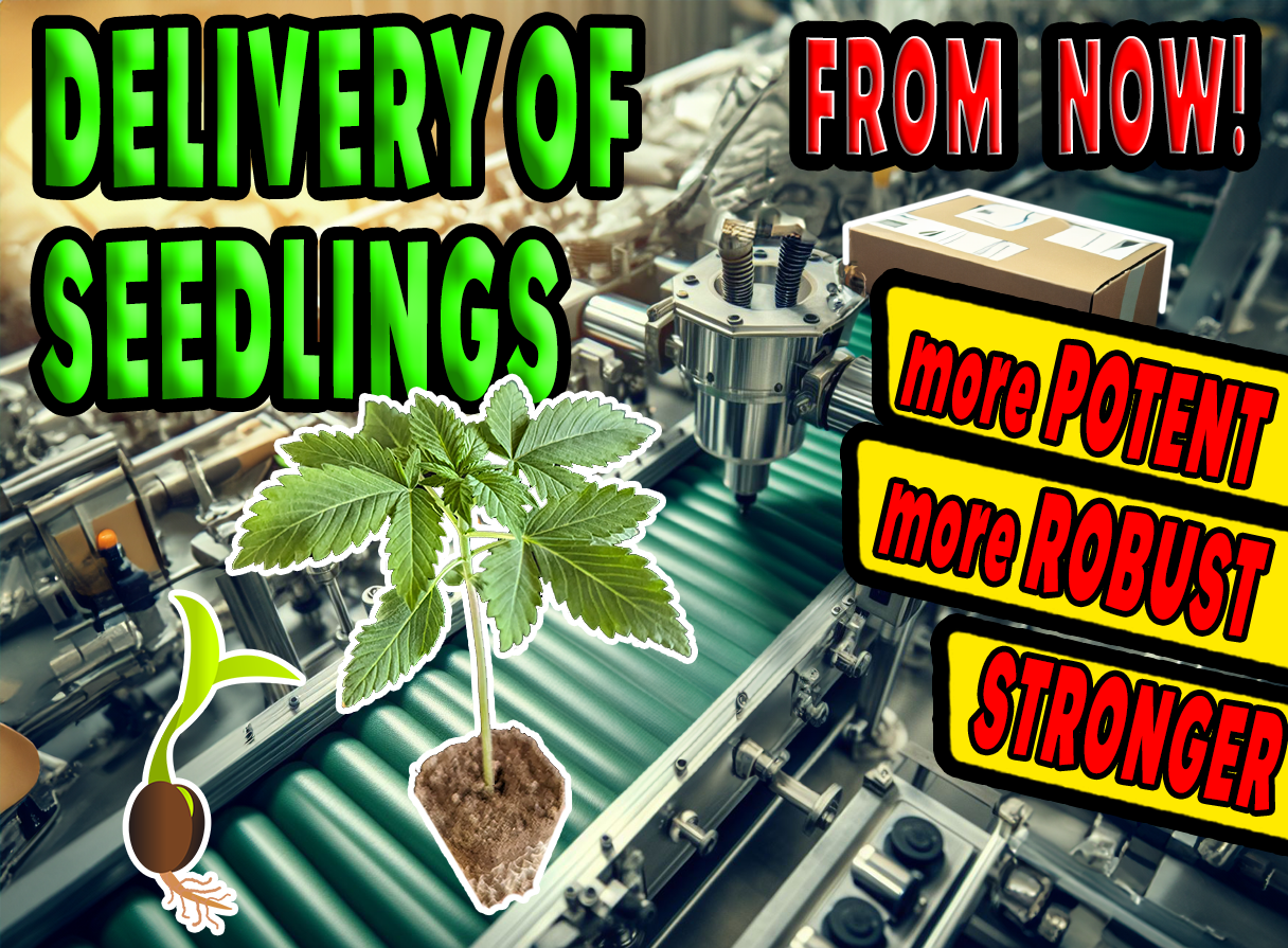 delivery_seedlings